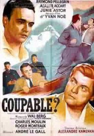 Affiche de Coupable ?
