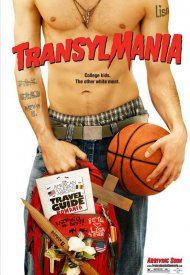 Affiche de Transylmania