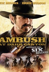 Affiche de Embuscade à Dark Canyon