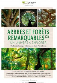 Affiche de Arbres et forêts Remarquables, un univers à explorer