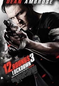 Affiche de Lockdown