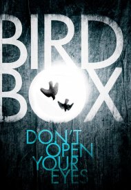 Affiche de Bird Box