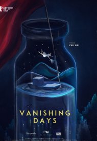 Affiche de Vanishing Days