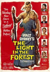 Affiche de The Light In The Forest
