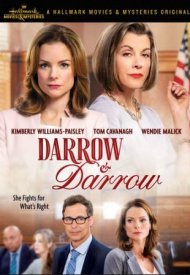Affiche de Darrow & Darrow