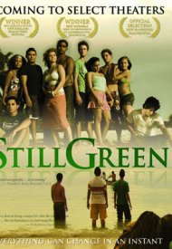 Affiche de Still Green