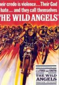Affiche de Les Anges sauvages