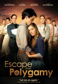 Affiche de Dans l'enfer de la polygamie
