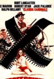 Affiche de Les Professionnels