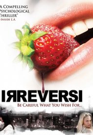 Affiche de Irreversi