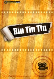 Affiche de Rin Tin Tin