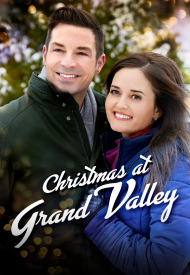 Affiche de Un nid d'amour pour Noël