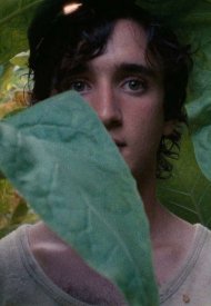 Affiche de Heureux comme Lazzaro