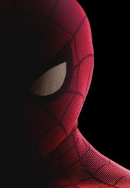 Affiche de Spider-Man: Homecoming 3