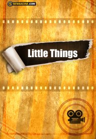 Affiche de The Little Things
