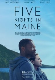 Affiche de Five Nights in Maine