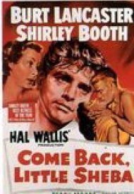 Affiche de Reviens petite Sheba