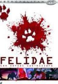 Affiche de Felidae