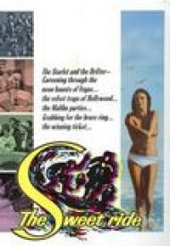 Affiche de Fureur à la plage