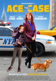 Affiche de Ace the Case: Manhattan Mystery