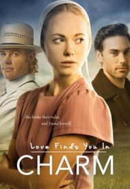 Affiche de Love Finds You In Charm