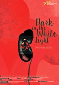 Affiche de Dark in the White Light