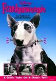 Affiche de Frankenweenie