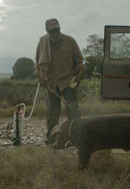 Affiche de Mr. Pig