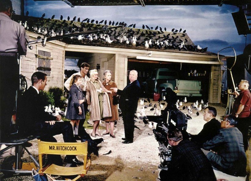 "Les Oiseaux" : Hitchcock survole le genre du thriller "Les Oiseaux" : Hitchcock survole le genre du thriller