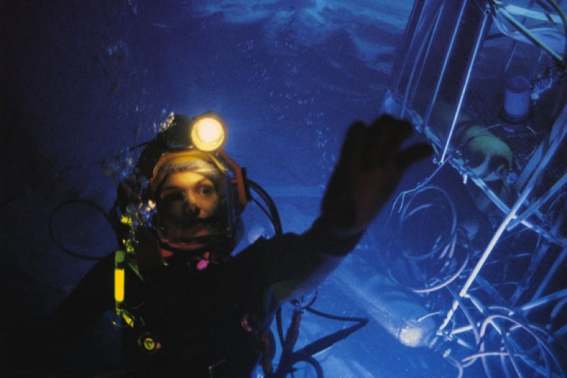 "Abyss", quand la science-fiction s'invite sous l'eau "Abyss", quand la science-fiction s'invite sous l'eau