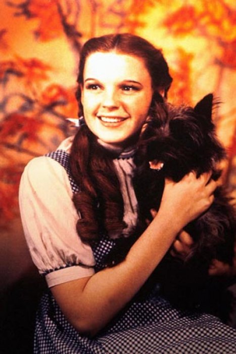Dorothy Gale et Toto dans "Le Magicien d'Oz" (1939) Dorothy Gale et Toto dans "Le Magicien d'Oz" (1939)
