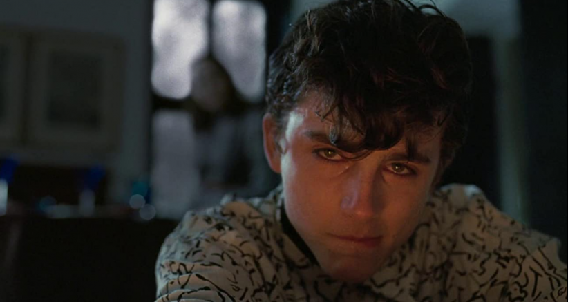 Timothée Chalamet dans "Call Me By Your Name" (2018) de Luca Guadagnino Timothée Chalamet dans "Call Me By Your Name" (2018) de Luca Guadagnino