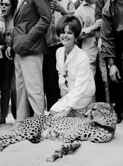 Claudia Cardinale en 1963 Claudia Cardinale en 1963