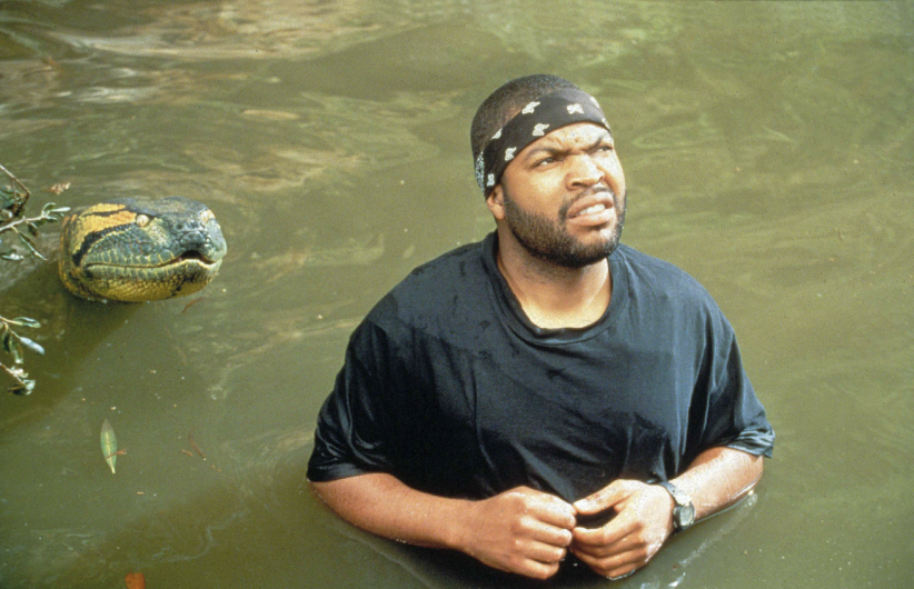 "Anaconda" : le serpent qui se cache sous l'eau "Anaconda" : le serpent qui se cache sous l'eau