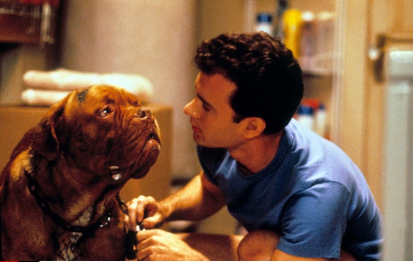 Turner et Hooch (1989) Turner et Hooch (1989)