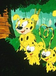 Marsupilami