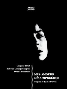 Mes Amours Décomposé(e)s