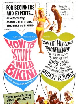 How To Stuff A Wild Bikini