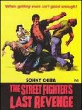 The Street Fighter's last Revenge