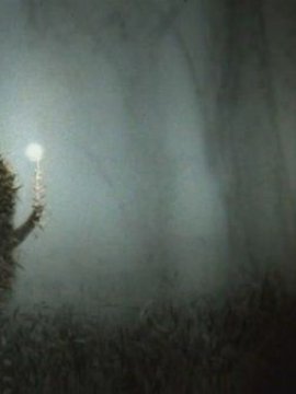 Le Hérisson dans le brouillard