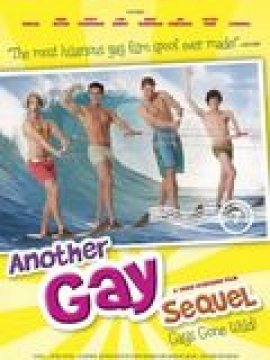 Another Gay Sequel: Gays Gone Wild!