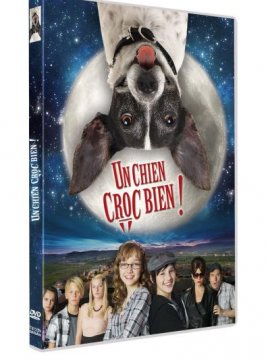 Un chien croc bien