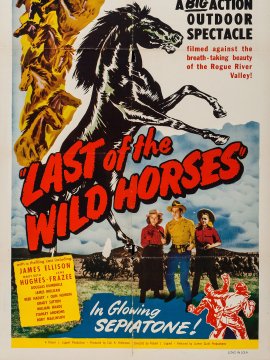 Last of the Wild Horses