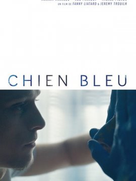 Chien bleu