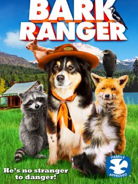Ranger, un chien en or