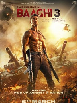 Baaghi 3