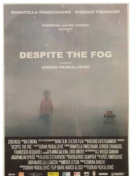 Nonostante la Nebbia