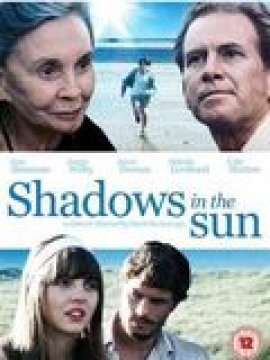 Shadows in the Sun