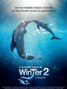 L'Incroyable Histoire de Winter le dauphin 2