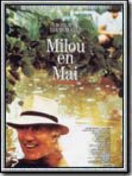 Milou en mai